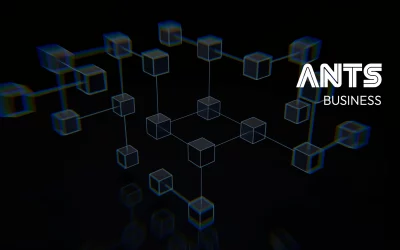 The Rise of Private AI Networks: How SMEs Are Building Their Own Intelligence Grids